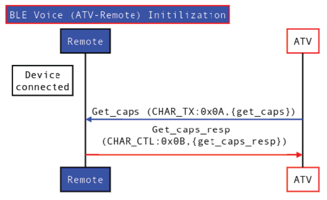 Google Voice initialization flow
