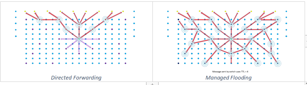 Directed Forwarding & Managed Flooding schema