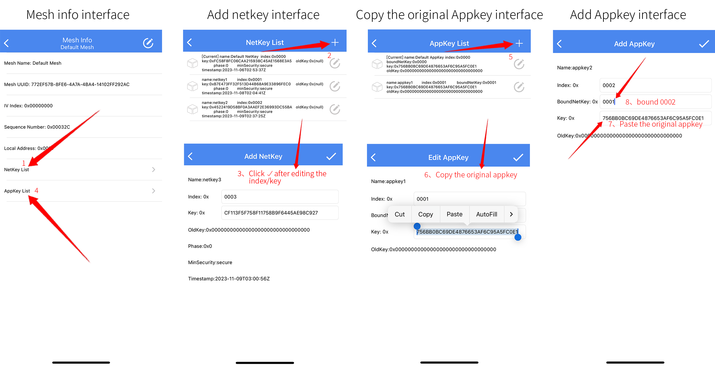 iOS Mesh info interface & Steps of adding Netkey / APPkey