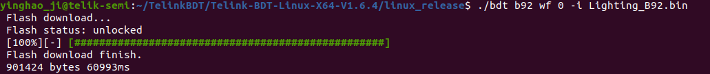 Burn Firmware