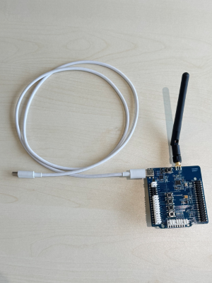 W91 Hardware Connection
