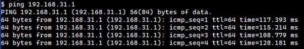 Ping Test