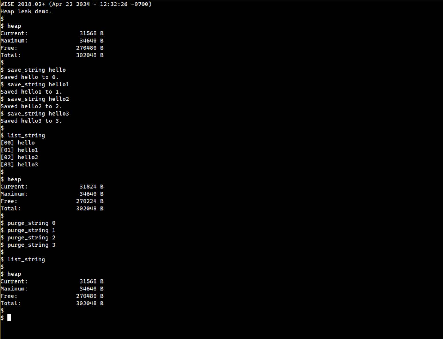 Heap Memory Leak