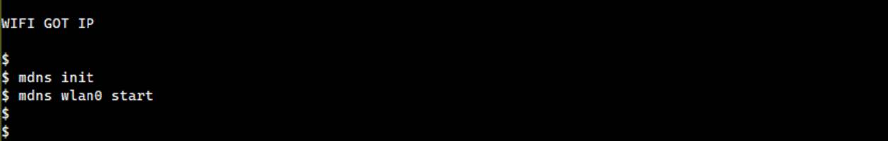 Enbale mDNS Responder