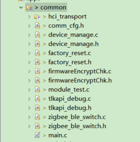 Common File Directory