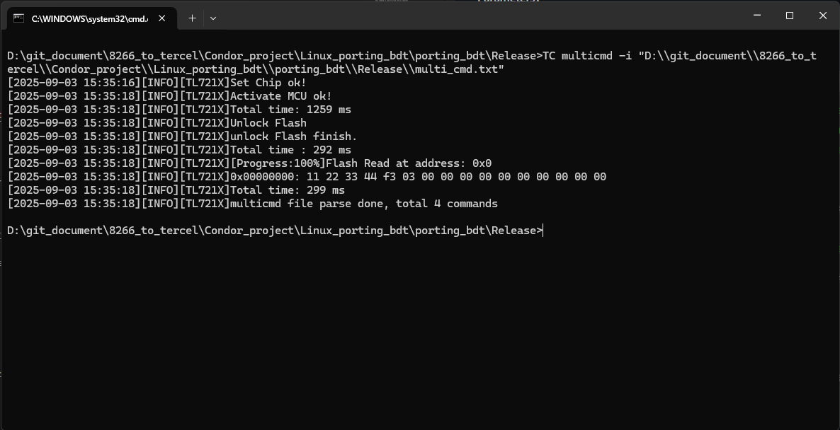 Execute Multiple Commands