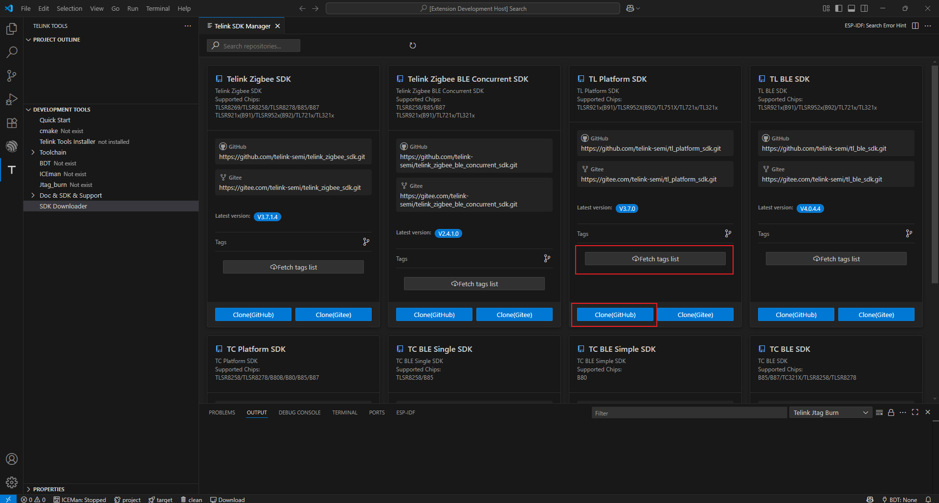 Clone or Fetch tags(Branch)
