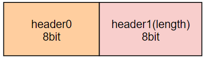 BlePhyHeader字段 BlePhyHeader字段