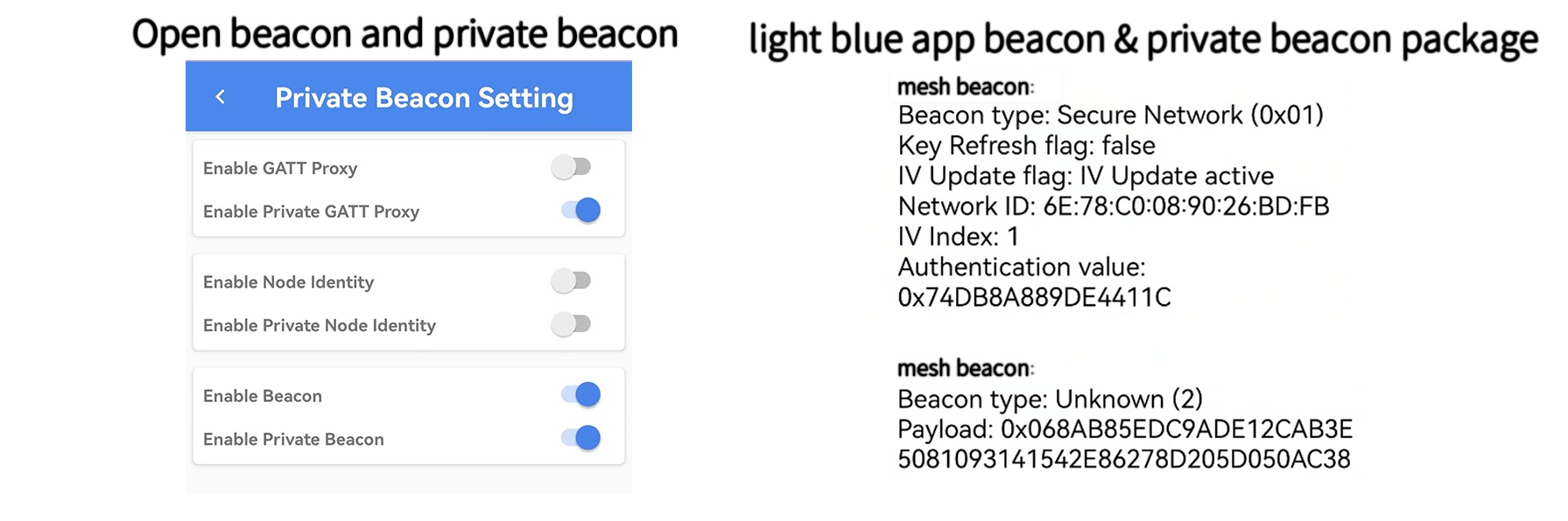 打开beacon + private beacon后light blue APP收到的beacon包