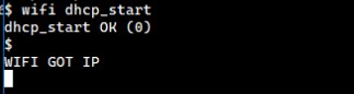 启动DHCP Client