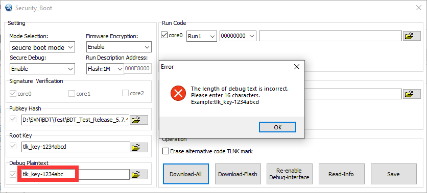 Debug Plaintext 格式错误1