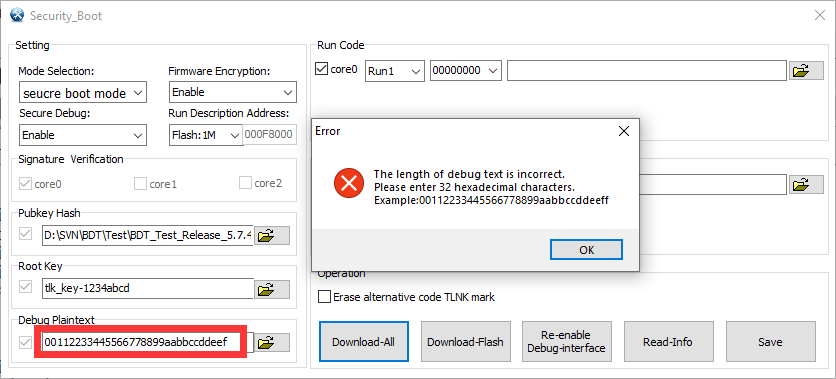 Debug Plaintext 格式错误2